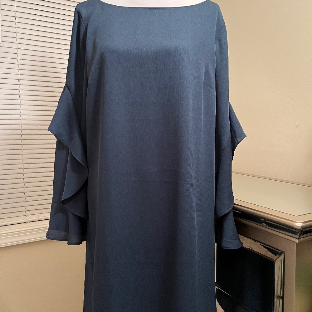 New! Ann Taylor Cascading Ruffle Sleeve Shift Dress